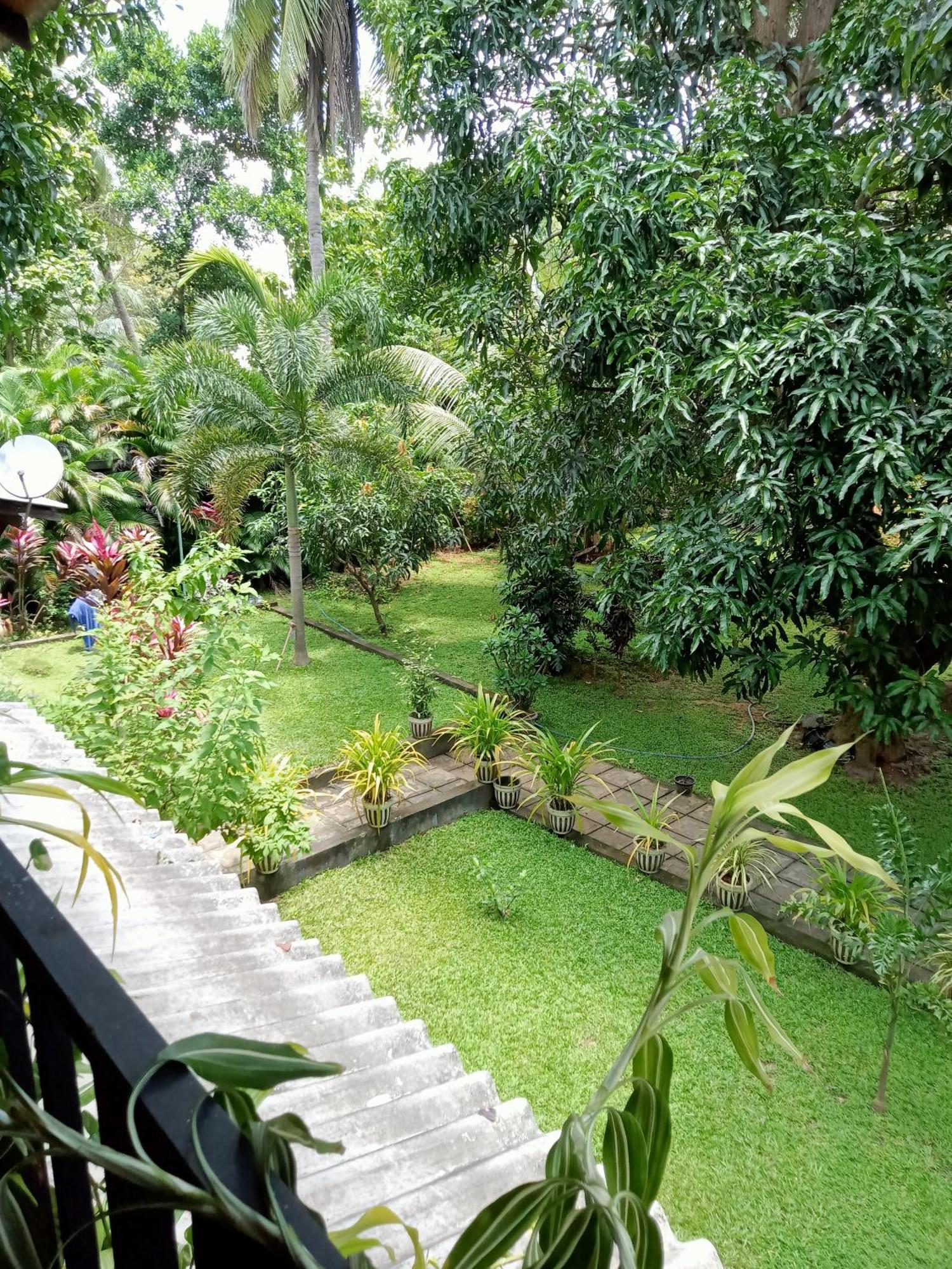 Kithmi Resort Polonnaruwa Eksteriør bilde